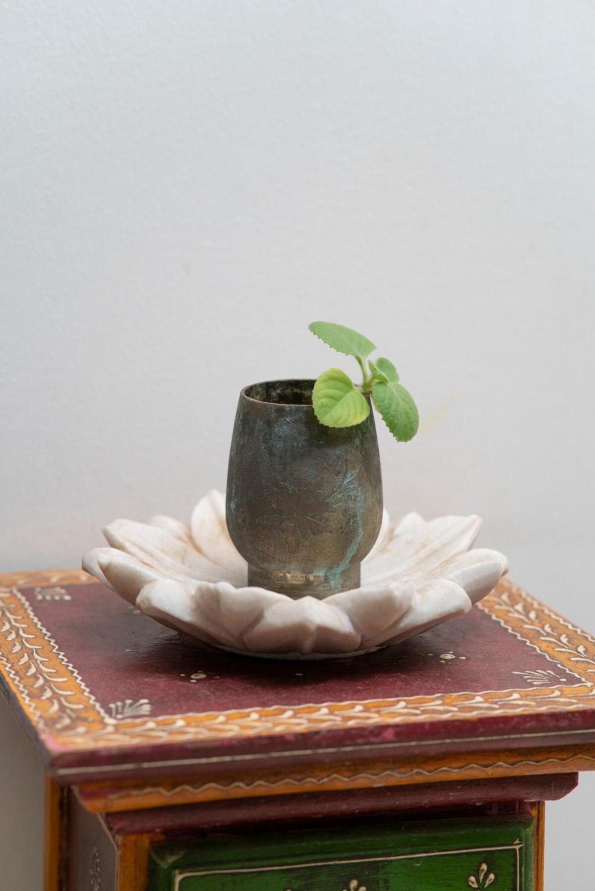 Santosh Villa - The House Of Antiques And Art Ουνταϊπούρ Εξωτερικό φωτογραφία
